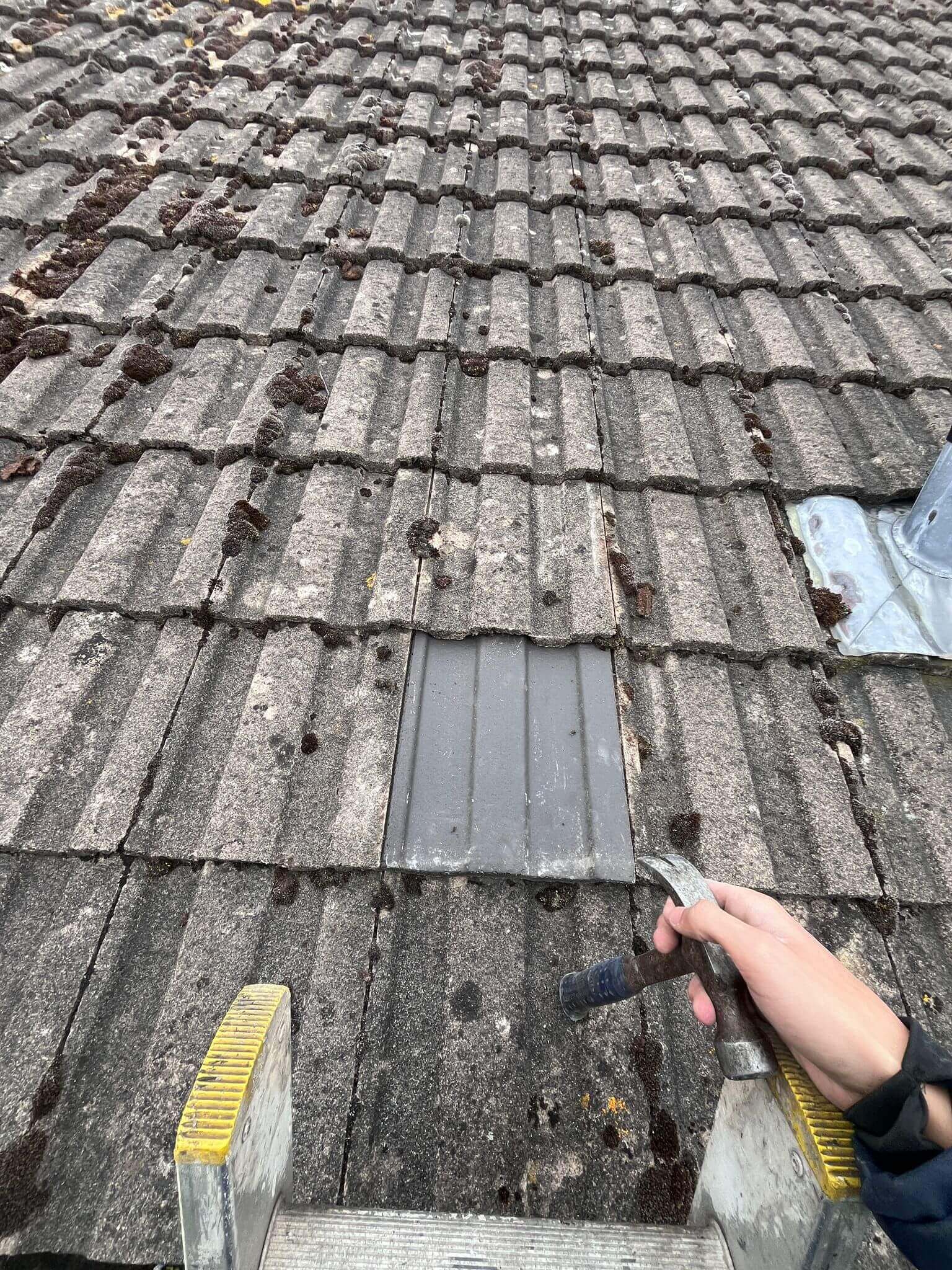 Marka 1
